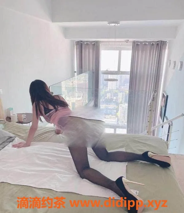 上海楼凤资源信息,上海徐汇区熊T服务，600元体验