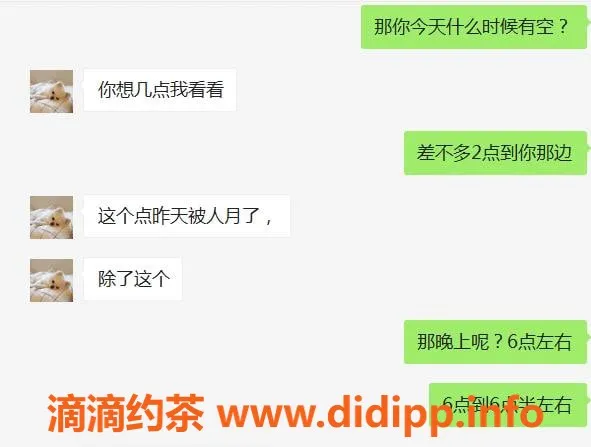 上海楼凤-普陀区诱惑之旅：星月老师，优质服务，500元起