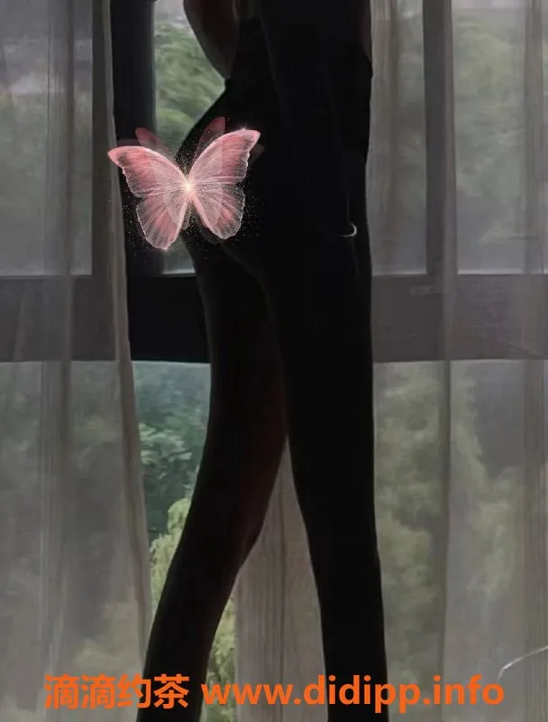 上海楼凤资源信息,闵行图图，172cm长腿肤白，800元起