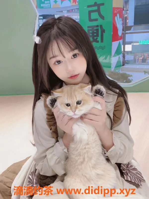 东莞楼凤资源信息,东莞乐乐，颜值出众，服务超赞，推荐10分！