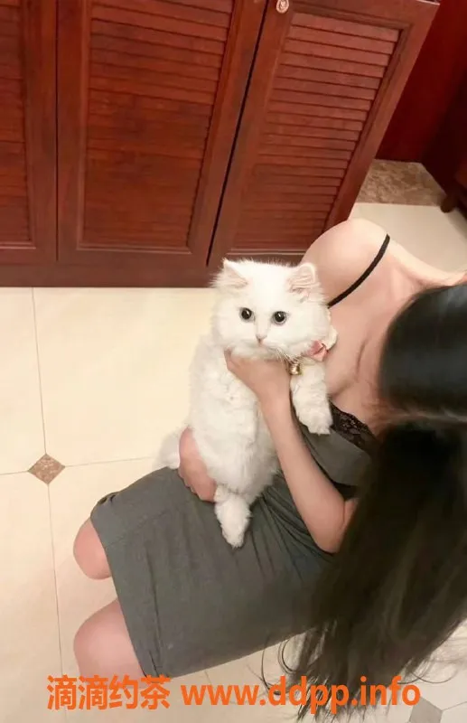 深圳楼凤-深圳小甜，162cm，44kg，千元档服务