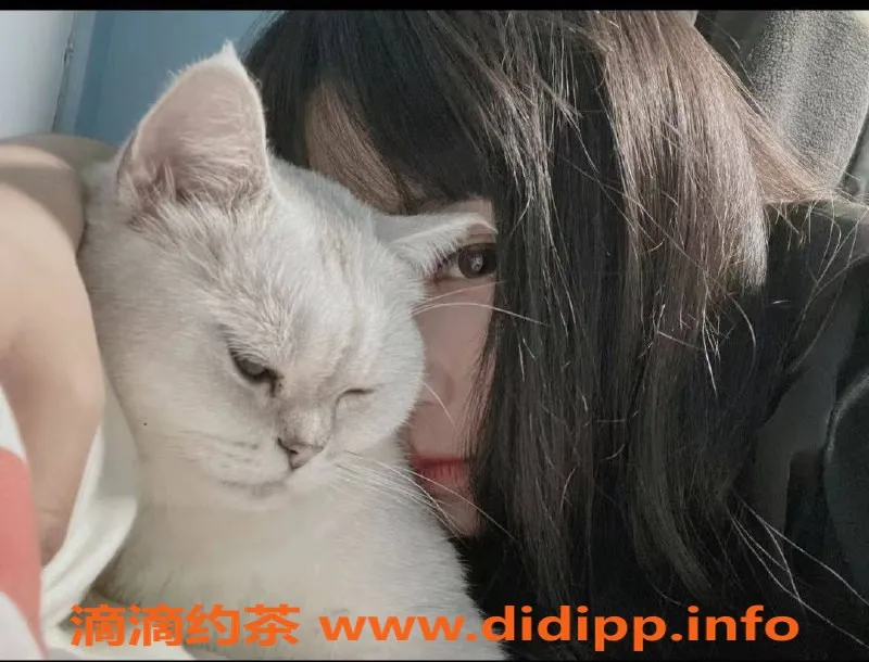 成都楼凤-金牛区嫩妹芯瑶，19岁C罩杯，500元/小时