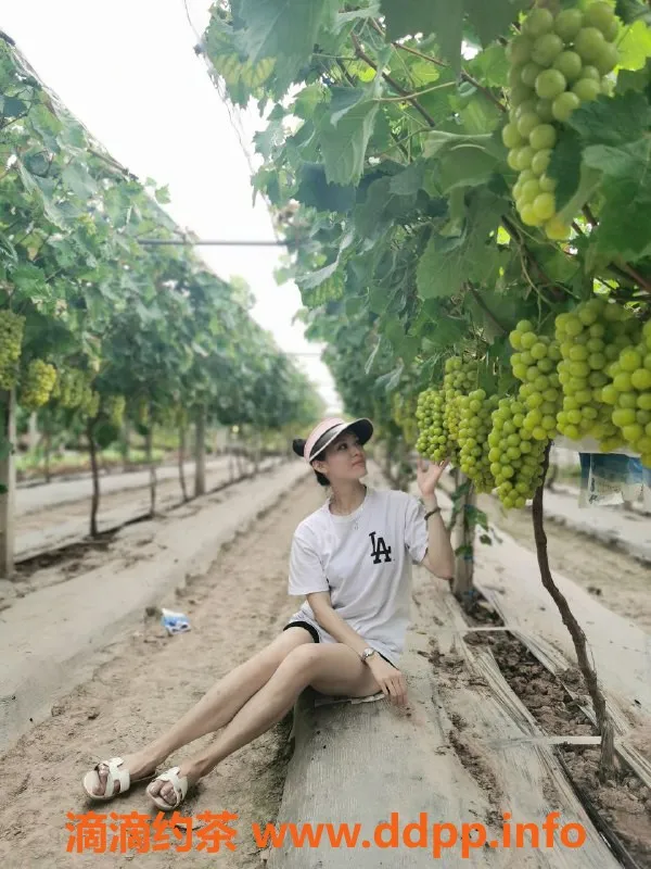 昆明楼凤-西山区陆薇｜服务7p/11pp｜真实评价分享