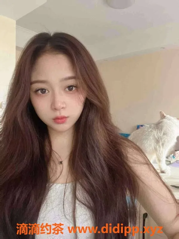 上海楼凤-松江小七活动立减400，体验超值服务