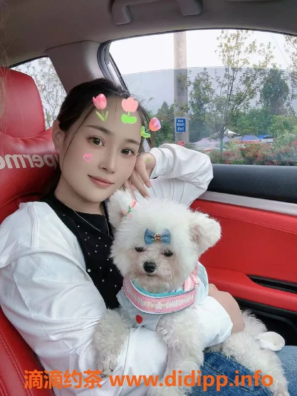 西安楼凤资源信息,雁塔楠岚，上乘服务与颜值并存