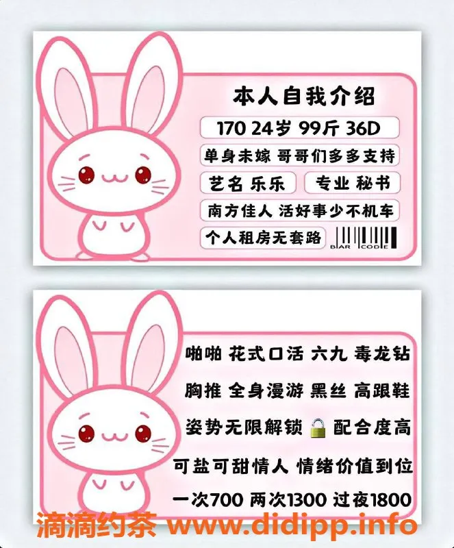 北京楼凤-丰台秘书乐乐，700元可享优质服务