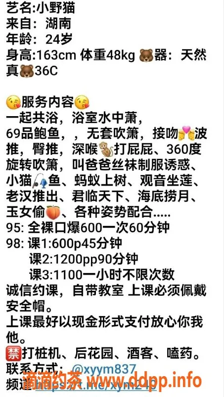 东莞楼凤-长安小野猫，P600服务，超值体验！