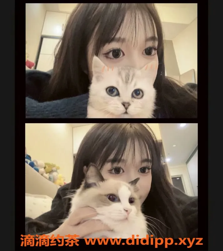 武汉楼凤-新人夏夏，甜美又有魅力的小姐姐