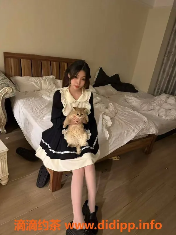 东莞楼凤-东城骑骑，超值服务仅需600起