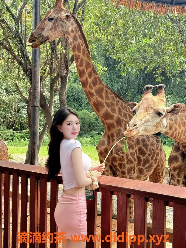 深圳上门服务-南山上门小泡泡，课费2500p，热情服务等你体验！