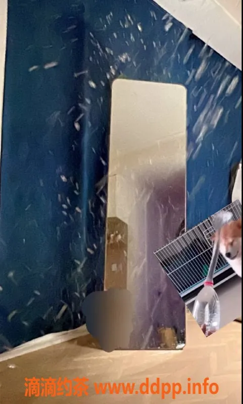 杭州楼凤-杭州小柔，D罩杯，170身高，夜场剧情服务