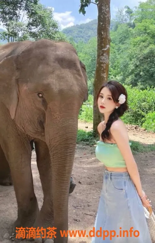 广州楼凤-佛山禅城英子，服务800起，尽享美好时光