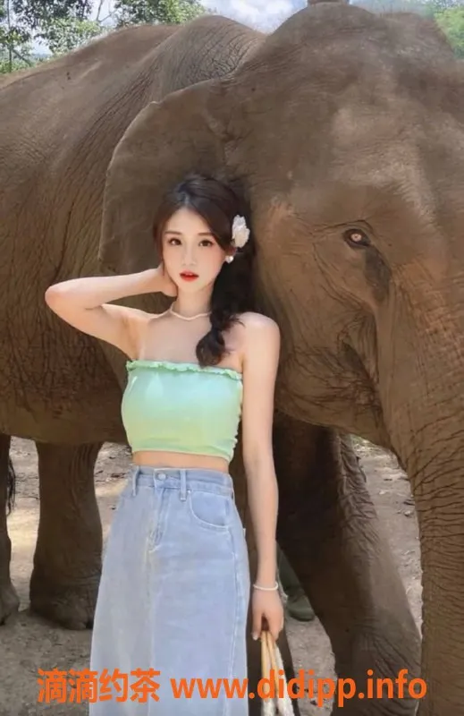 广州楼凤-佛山英子，停车800起，贴心服务等你来享受