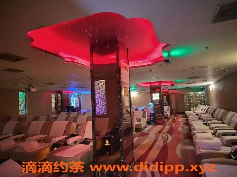 广州楼凤-白云95号加油站高档伴游服务，美女任你选