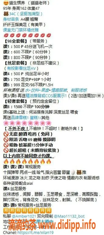 广州楼凤-白云猫生惯养，500起享优质服务