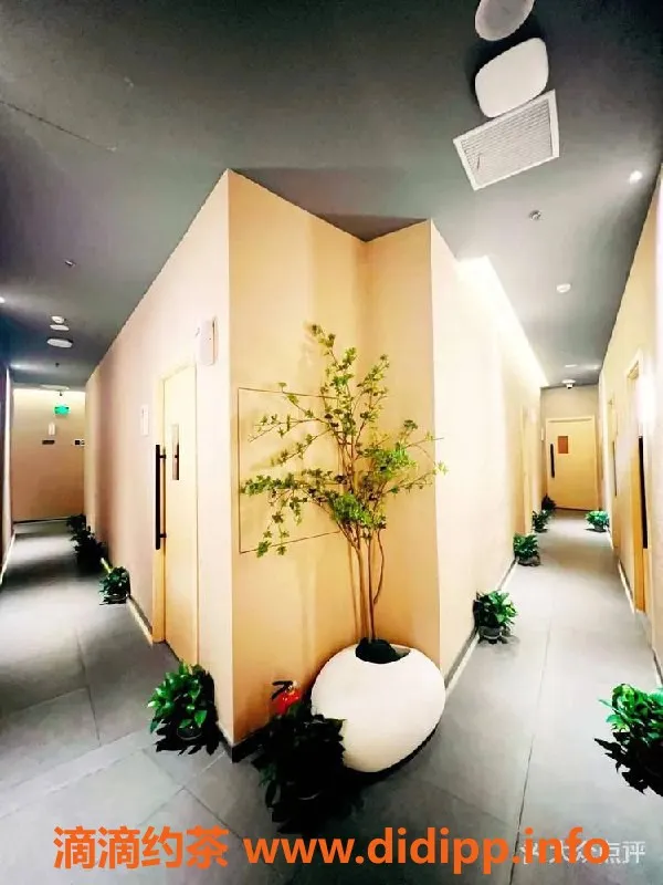 上海spa会所-金桥全萝4T超低价，超值体验只需498元！