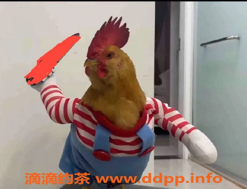 深圳楼凤-南山小仙女，绝对值得一试！