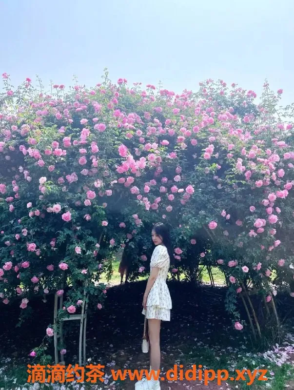 南宁楼凤-青秀区张什么月已验证，恋爱值600