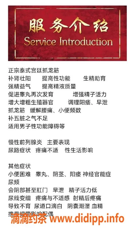 成都上门服务-成都高新区天字一号前列腺理疗服务