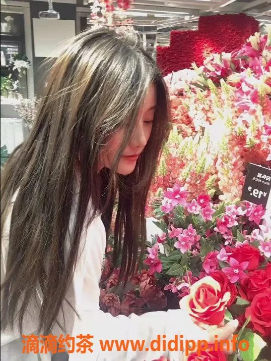 重庆楼凤-江北区小太阳名凤，已验服务超赞