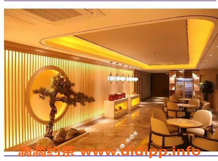 广州楼凤-白云顶级95，江湖菜约659元70分钟无限畅享