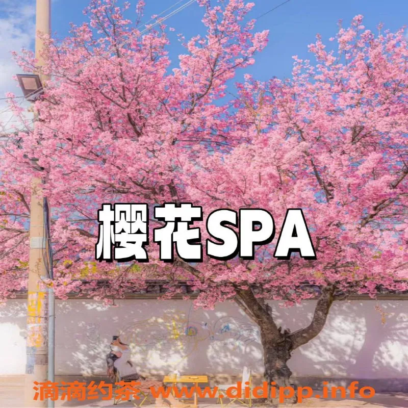 广州抓龙筋-天河樱花SPA日式抓龙筋，398元超值体验