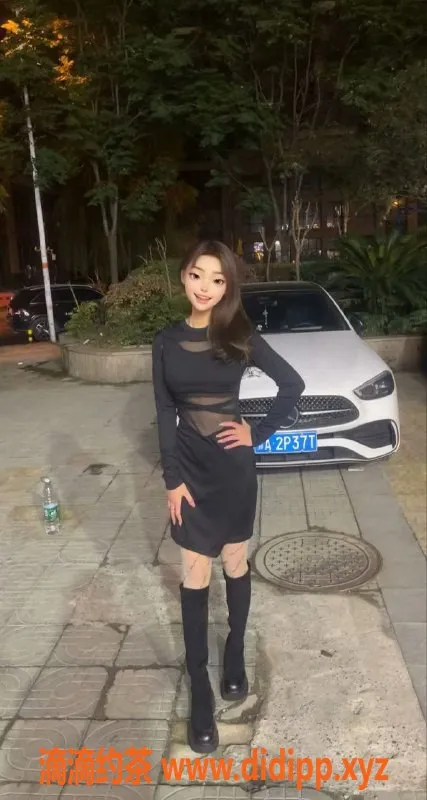 武汉楼凤资源信息,怀中猫，青春靓丽，价格亲民