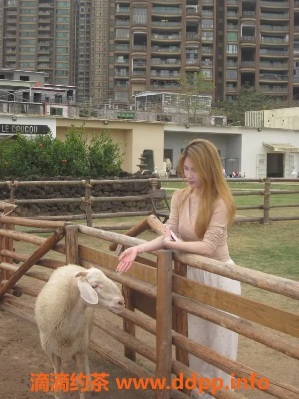 广州楼凤-天河嫩妹尤尤子，700元约享精彩服务