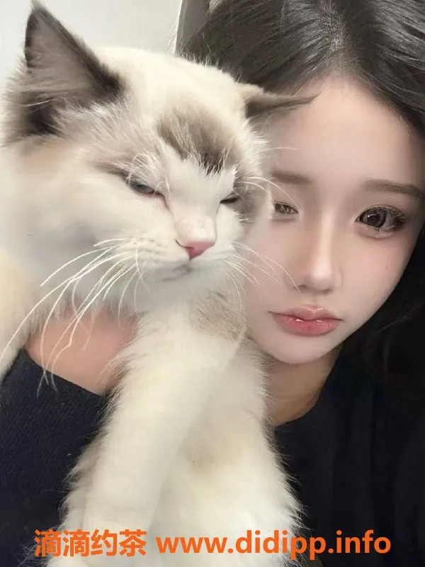 宁波楼凤资源信息,鄞州细腰软妹，165cm，91斤，800元/40分钟