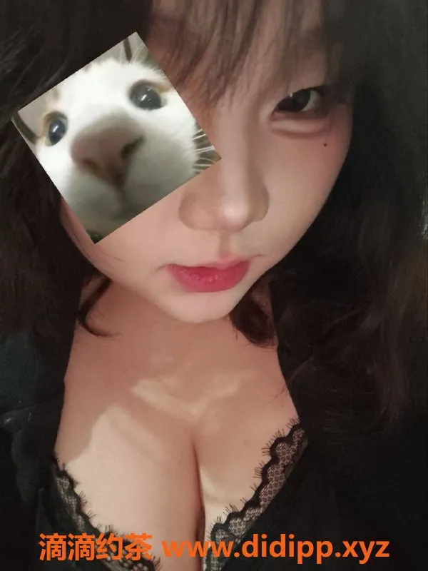 郑州楼凤-中原区小猪，165cm 36E情趣服务，800元起