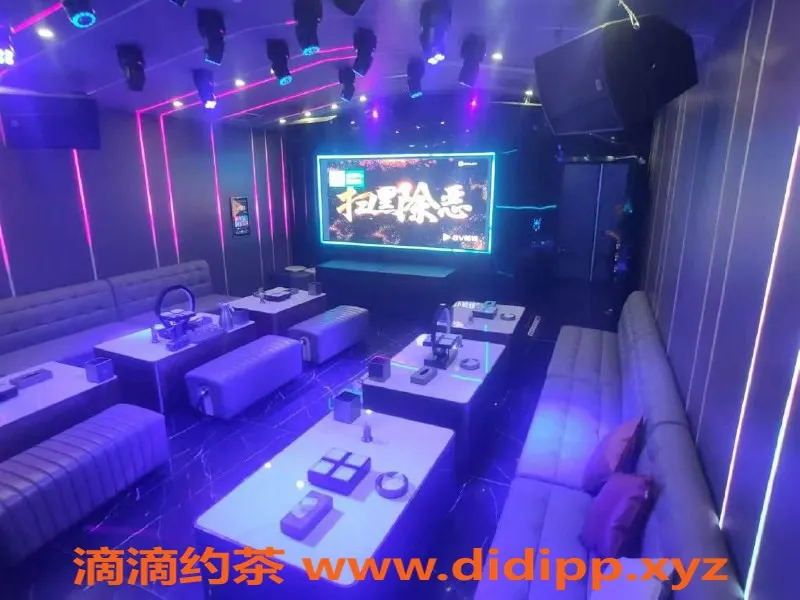 南宁楼凤-西乡塘区丽晶汇KTV陪酒小姐，700元起，年轻活力