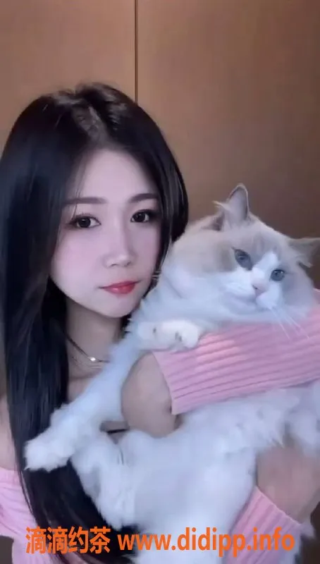 宁波楼凤资源信息,海曙小馒头，600元服务，视频验证艺人