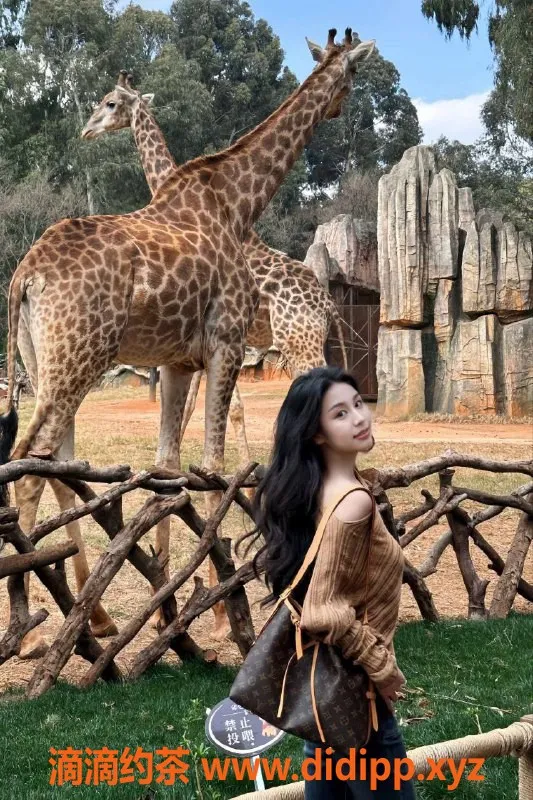 广州楼凤-荔湾嫩妹小不点，700元约会服务