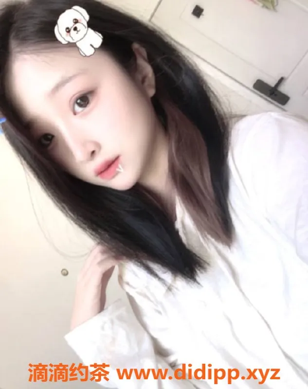 深圳楼凤资源信息,上海浦东茶茶，1300元超值服务