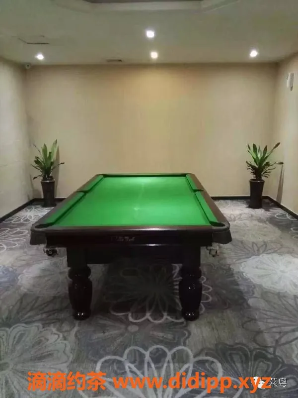 广州楼凤-白云区顶级95，658元体验奢华享受