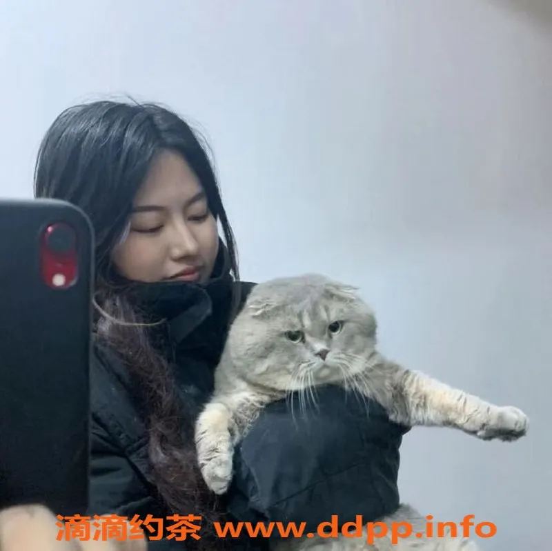 太原楼凤资源信息,太原吴亦凡工兵服务，价格合适