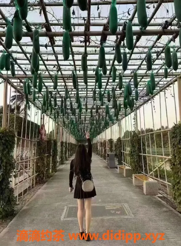 广州楼凤-佛山南海阿玲，24岁38D美眉，茶水费500起