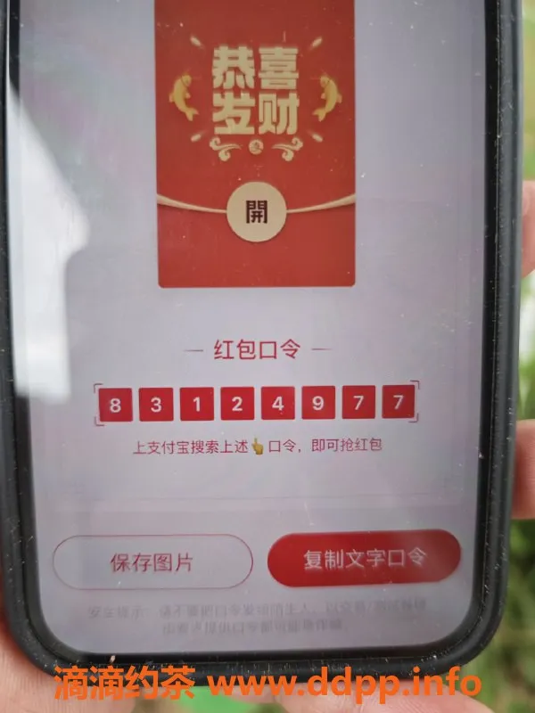 杭州楼凤-警惕高价夜单 跑夜狗曝光信息