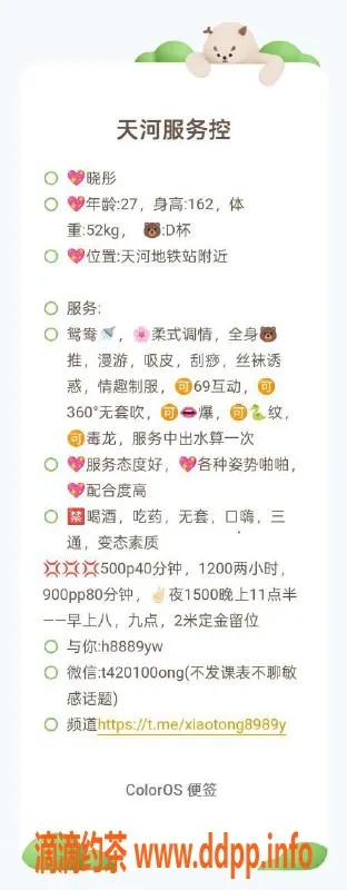 广州楼凤-天河御姐晓彤，性感大胸等你体验！