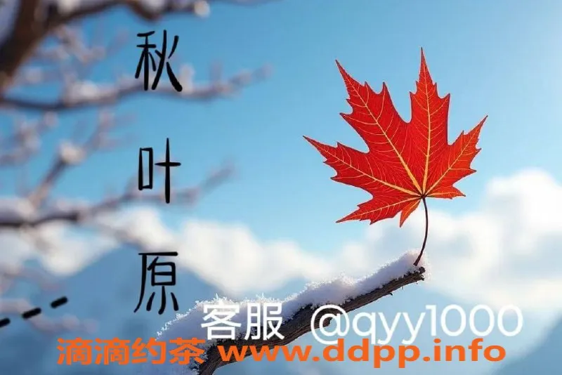 杭州楼凤资源信息,秋叶原老板好心情，高品质服务等你来体验