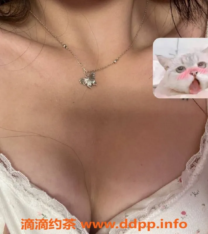 成都上门服务资源信息,心碎小猫 - 冷白皮嫩妹，上门服务，7p红牌优惠