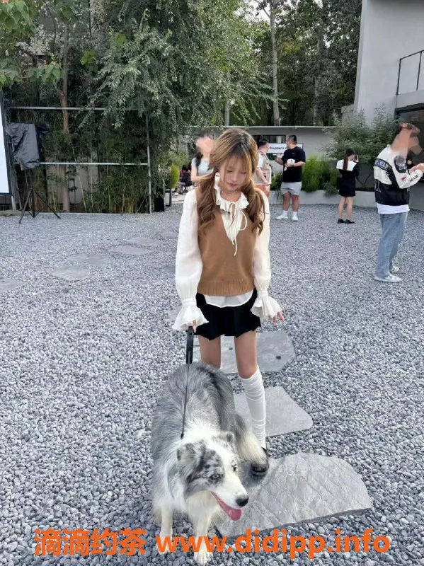 福州楼凤资源信息,鼓楼区微微，21岁骚骚骚，茶价6p 11pp