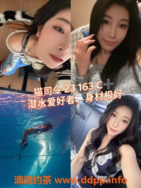 广州女仆店-佛山独角兽女仆，399元起，24小时服务