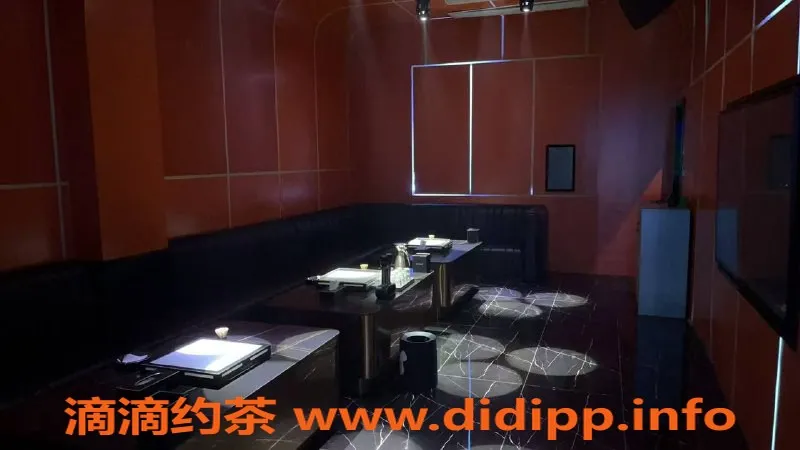 南宁楼凤-西乡塘bo-PARTY北欧明珠 特色沙发秀800元