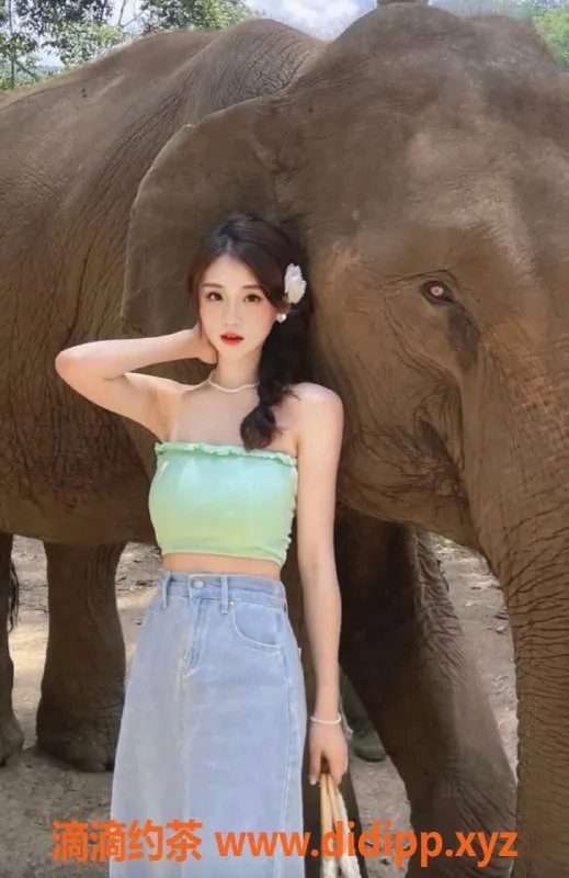 广州楼凤资源信息,佛山禅城英子，服务真心不错，800起！