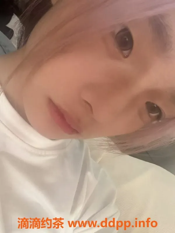 西安楼凤-西安未央猫幼，6p起，茶艺服务体验