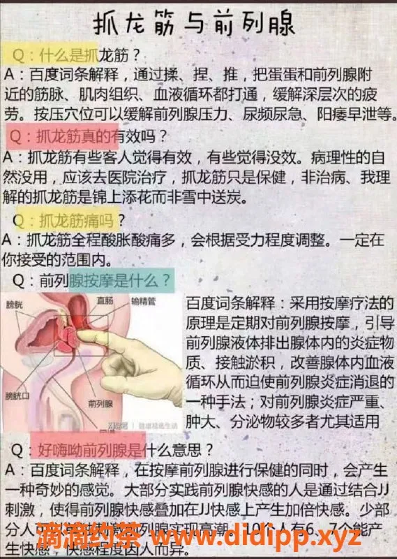 广州楼凤-天河区晓晓，抓龙筋服务超赞！