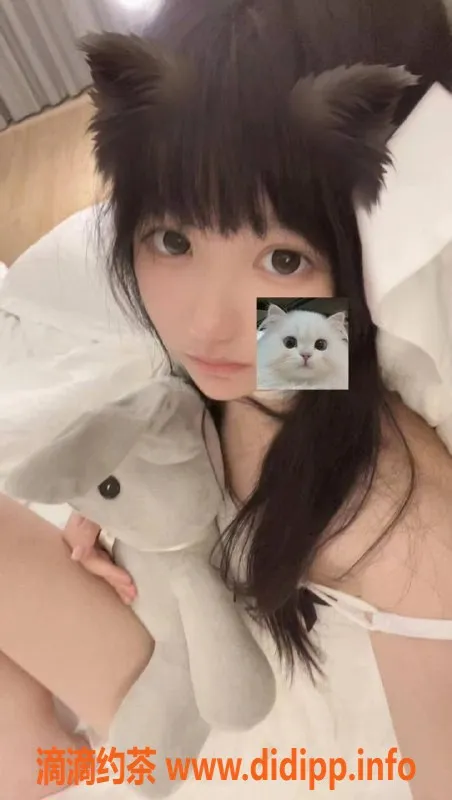 成都楼凤-成华区萌兔，6p 11pp，给你不一样的体验！