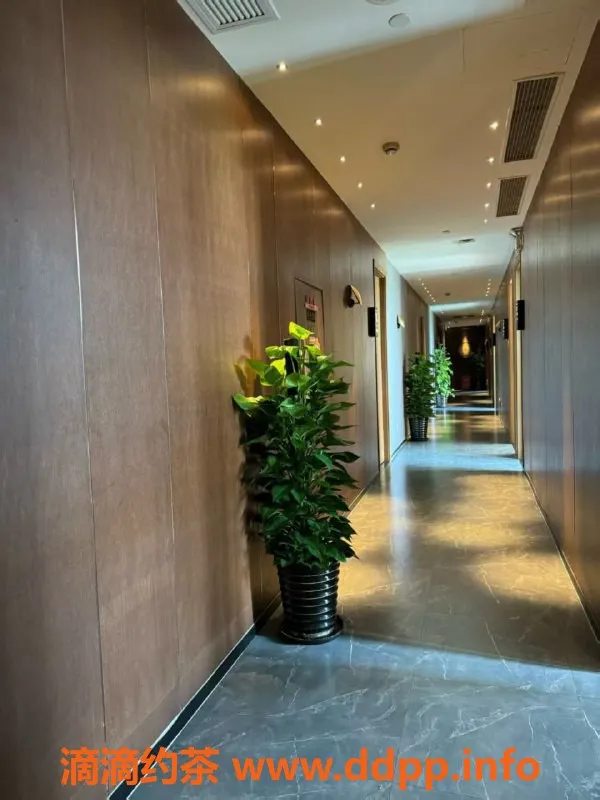 广州spa会所-广州番禺悦品汇95水汇，699元享受精彩服务