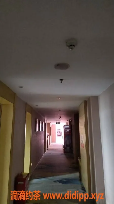 南宁楼凤资源信息,西乡塘区鑫沐养生，价格319起，特色情趣互动服务